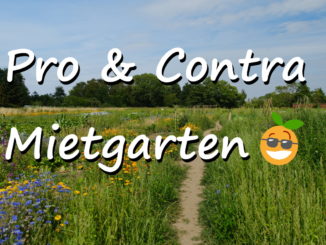 Pro & Contra Mietgarten - Erfahrungen aus der Praxis